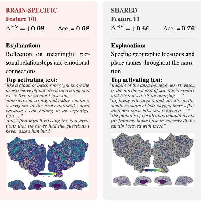 Crosscoders Identify Shared or Specific Features between the Human Brain and Language Models